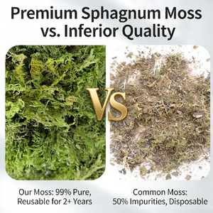 Factory Hot <strong>Sale</strong> Cheap Price Dried <strong>Sphagnum</strong> <strong>Moss</strong> <strong>for</strong> Potted Flowers and Succulent Cultivation - Product Image 3