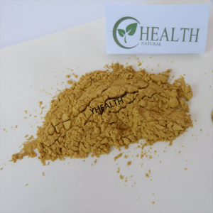 Bodybuilding integratori commercio all'ingrosso naturale tamburo imballaggio per uso alimentare Sparassis Crispa estratto in polvere per la sanità - Product Image 2