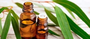 น้ำมัน<span class=keywords><strong>งา</strong></span>แบบสกัดเย็น2025ธรรมชาติบริสุทธิ์มีแบรนด์จีน - Product Image 6