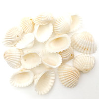 100 pièces perles de coquille de mer blanche pour la fabrication de bijoux cauri cauri breloque perles collier à faire soi-même Bracelet accessoires résultats de bijoux