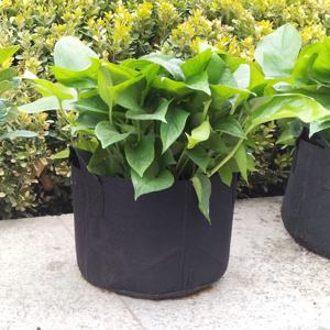 Vente d'usine 60 pièces Pack 1 / 2 / 3 / 5/10/20/30 gallons fournitures <span class=keywords><strong>de</strong></span> jardin <span class=keywords><strong>sac</strong></span> <span class=keywords><strong>de</strong></span> plantes respirant écologique sacs <span class=keywords><strong>de</strong></span> culture en feutre - Product Image 4