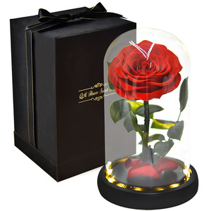 Wholesale A Grade 50 Colors Immortal Eternal roses Forever Preserved Rose In Glass Dome With Lights Valentines Day Gift
