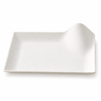 Assiettes en papier jetables carrées épaisses biodégradables compostables micro-ondables écologiques pour dîner en gros