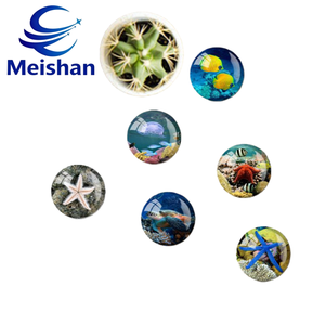 Meishan แม่เหล็กติดตู้เย็นทรงกลมแบบแม่เหล็กติดตู้เย็นรูปเต่าและปลาดาวทำจากเรซินทาง<span class=keywords><strong>ทะเล</strong></span>ทำจากเรซินสังเคราะห์ทนทานผลิตตามสั่งขายดีที่สุด - Product Image 2