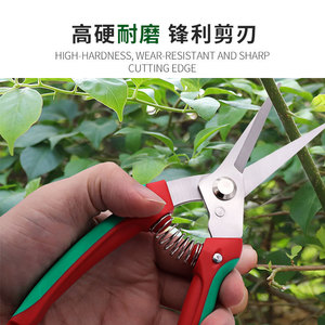 Nice Garden Shears Stainless Steel 20-30 Mm Pruning Branches Manual Butterfly Structure - Product Image 5