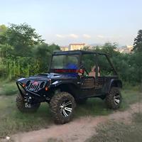 Quad 4x4 tout-terrain 500cc UTV ATV 2/4 places haute performance pour adultes, idéal pour la montagne