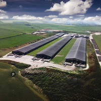 Bâtiment agricole en structure métallique pour l'élevage de volailles et de bovins