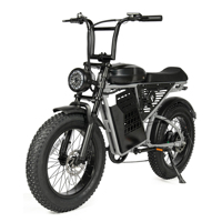 Vélo Électrique ZUMI US Brésil Style Cyclomoteur Pneus Larges pour Adultes Batterie Lithium 15Ah 7 Vitesses OEM ODM Personnalisé Moteur 1000W Vente Directe