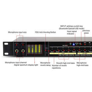 OEM-procesador de efectos de Audio Digital REV3900, dispositivo profesional con 2 micrófonos de mano UHF, PARA <span class=keywords><strong>Karaoke</strong></span> y conciertos - Product Image 3