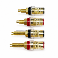 Bevenbi Bornes de liaison audio haut de gamme en cuivre pur plaqué or avec blindage EMI pour amplificateurs Hi-Fi et systèmes audio