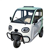 Tricycle Électrique Fermé au Design Cartoon Mignon pour Adultes, Véhicule de Transport Urbain à Longue Portée avec Phare LED