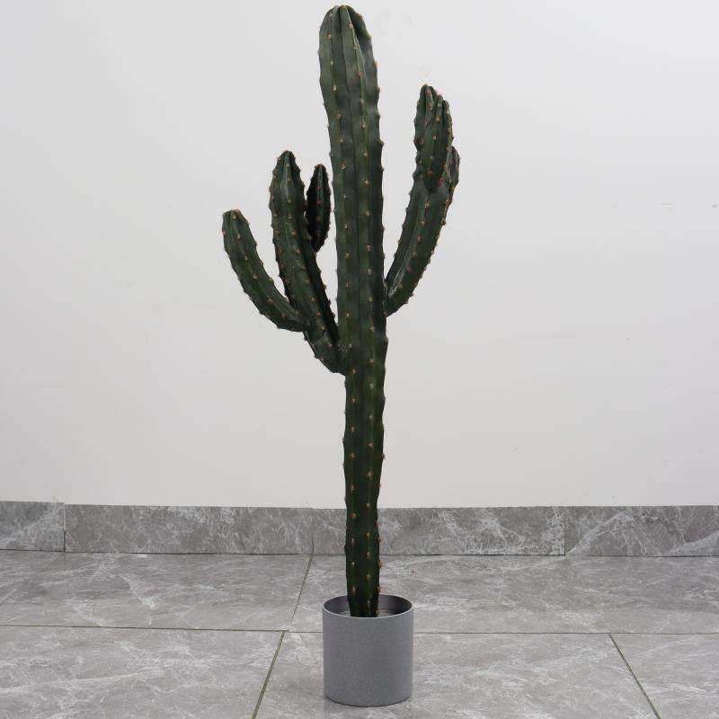 เจ็ดหัวมีหนามสีเหลือง110ซม