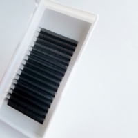 Extensions de cils individuels 3D Fairy Lashes, cils en forme de trèfle, noir mat, fibre PBT douce, bouquets de volume préfabriqués pour salon
