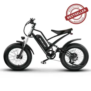 Customized Super 1000 W Motor 20 ''*4.0 inch Adult MTB E Bike Long Range 23Ah full Suspension 73 Electric Bicycle
