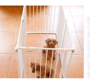 Di alta qualità ODM OEM in metallo per esterno cane <span class=keywords><strong>Area</strong></span> giochi per cani senza combinazione di gabbia per cani con gioco impiombato gabbia per animali domestici personalizzabile - Product Image 2
