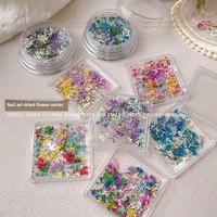 Accessoires de résine pour nail art : fleurs séchées, pétales de peinture à l'huile style Monet, petites fleurs d'inspiration japonaise, assortiment DIY