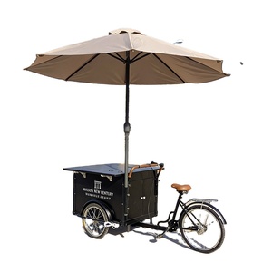 Carritos de helados, carritos de paletas, carritos de helados con congelador, carritos paletero en venta - Product Image 1