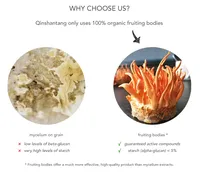 QINSHANTANG ISO GMP Usine Organique Cordyceps Militaris Extrait Poudre Suppléments Cordyceps Sinensis Extrait Poudre