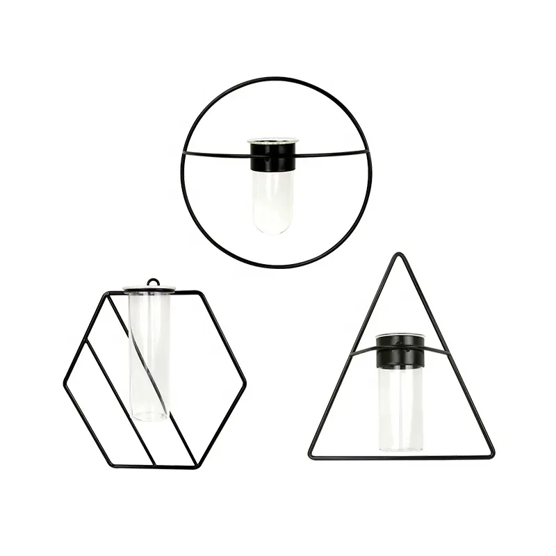 Özel duvar asılı ev dekoratif hava bitki topraksız bitkiler cam Test tüpü çiçek vazo Metal çerçeve
