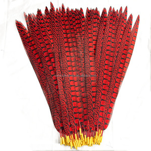 Plumas Artificiales de Faisán para Decoración y Disfraces de Carnaval - Product Image 4