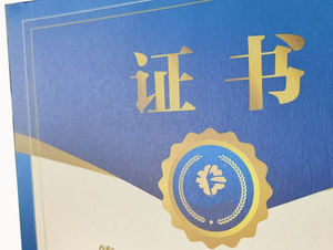 Özel A4 güvenlik profesyonel sertifika fantezi kağıt iş ve ofis kullanımı için özel Logo ile baskılı ofset - Product Image 6