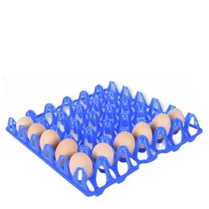 Wholesale Chicken Eggs Transportation Crate Goose Egg Plastic Tray Holder 30pcs Capacity Egg Incubator Basket