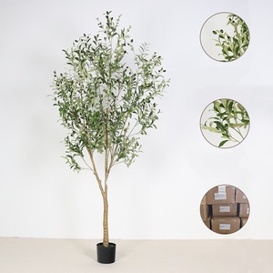 Arbre d'<span class=keywords><strong>olivier</strong></span> artificiel d'intérieur, <span class=keywords><strong>pot</strong></span> décoratif, arbre <span class=keywords><strong>en</strong></span> plastique, plantes tropicales <span class=keywords><strong>pour</strong></span> la remise des diplômes, les mariages, le Nouvel An - Product Image 2