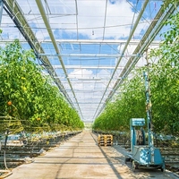 Grande serre en verre multi-voûtes avec structure en acier galvanisé à chaud, taille personnalisable, systèmes d'irrigation automatique, d'ombrage et de refroidissement