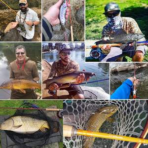 Tige <span class=keywords><strong>de</strong></span> <span class=keywords><strong>mouche</strong></span> transparente 8'4'' 8wt avec ébauche <span class=keywords><strong>de</strong></span> tige <span class=keywords><strong>de</strong></span> <span class=keywords><strong>mouche</strong></span> en <span class=keywords><strong>fibre</strong></span> <span class=keywords><strong>de</strong></span> <span class=keywords><strong>verre</strong></span> (B02) - Product Image 5