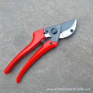 Sécateur de jardin Taiwan Mountain Wisteria 18 mm en acier inoxydable à coupe coupante pour l'élagage des arbres fruitiers - Product Image 2