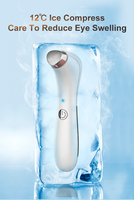 Verwarmde Koude Vibratie Donkere Kringen Verwijdering Anti-Aging Oogverzorging Hulpmiddelen Elektrische Oogmassage Pen
