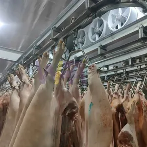 Abattoir de porc sans cruauté Machine d'abattage d'abattoir de porc d'abattoir de porc pour l'équipement d'abattoir de porc