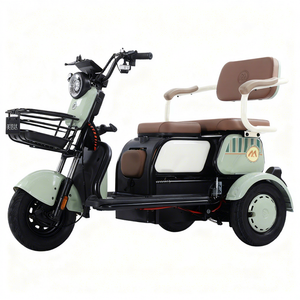 Nouveau tricycle électrique X6 avec siège enfant pliable, moteur 800W, phare et feu arrière LED, différentiel de rickshaw électrique - Product Image 1
