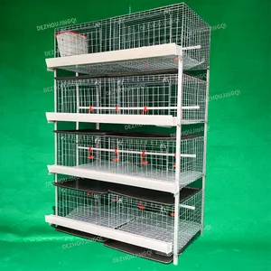 Cage automatique de poulet de chair de batterie de type H pour l'équipement agricole du Kenya