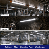 Tube LED antidéflagrant T8 homologué ATEX IP66 en verre, NEMA 4, dimmable, pour éclairage de plafond en zone 2 des ateliers pétrochimiques