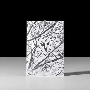 Sachet de coing de printemps de qualité supérieure copeaux de bois naturel huiles essentielles à haute concentration parfum longue durée écologique - Product Image 3