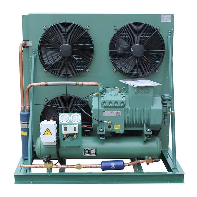 Unidade condensadora Bitzer da refrigeração do preço competitivo do ODM do OEM para o armazenamento da sala fria
