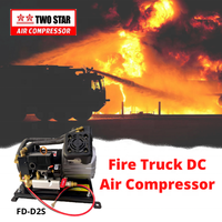 Compresseur d'air professionnel à double Piston, Machine de compression d'air, robuste et robuste, sans huile, cc, 12 V 48V, DC