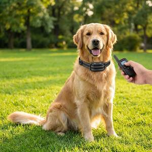 Nouveau collier de dressage intelligent pour chien en ABS étanche, sans chocs, avec télécommande, autonomie de 20 heures, multi-modes, anti-aboiement - Product Image 4