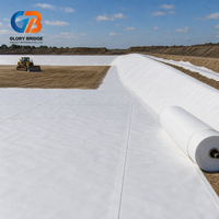 Géomembrane composite HDPE géotextile haute résistance à la traction, anti-UV, écologique pour l'irrigation, les bassins et l'agriculture