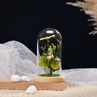 Mini plante verte en verre sur dôme, décoration de maison, micro-andscape, bureau, bureau
