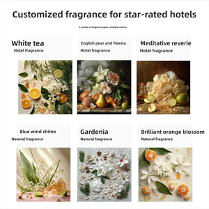 <span class=keywords><strong>Diffuseur</strong></span> d'huiles essentielles commercial automatique intelligent à usage domestique pour <span class=keywords><strong>Amazon</strong></span> Machine de pulvérisation de parfum d'hôtel populaire prise américaine électrique - Product Image 3