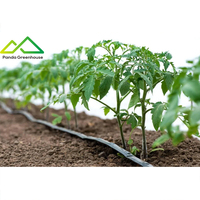 Système d'irrigation goutte à goutte intelligent avec couverture en PE pour serres agricoles multi-chapelles - Kit personnalisé pour la réussite des projets