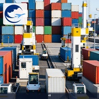 Servicio Puerta a Puerta DDP de Contenedores, de Qingdao a India, Transitario de Carga FCL, Servicio de Despacho de Aduanas DDP DDU