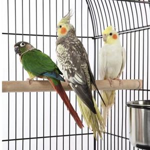 <span class=keywords><strong>Cage</strong></span> de spectacle des oiseaux, fil en fer pliable, petite taille 46x46x70cm, équipement pour perruches, perroquet, fausses mailles, vente en gros - Product Image 6