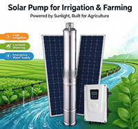 Pompe submersible centrifuge pour puits profond de 1 CV à énergie solaire DC en acier inoxydable pour l'irrigation agricole