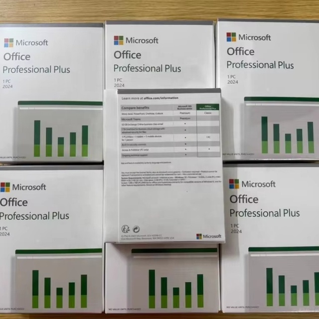 Office 2024 Professional Pus LTSC Retail Box Global Online Activation Lifetime Key License for PC in Stock for
