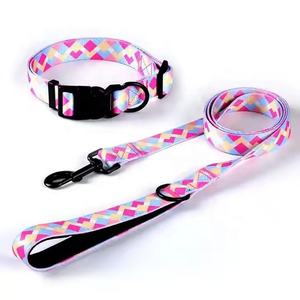 <span class=keywords><strong>Collar</strong></span> y correa de poliéster con estampado de logotipo personalizado para perro, collares de lujo para mascotas, correas para trotar, correr, caminar, correas personalizadas para perros - Product Image 6