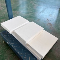 Plaque en fluoropolymère blanc OEM pour la production de joints de traitement mécanique, revêtement industriel, rouleau de feuille de plastique PTFE