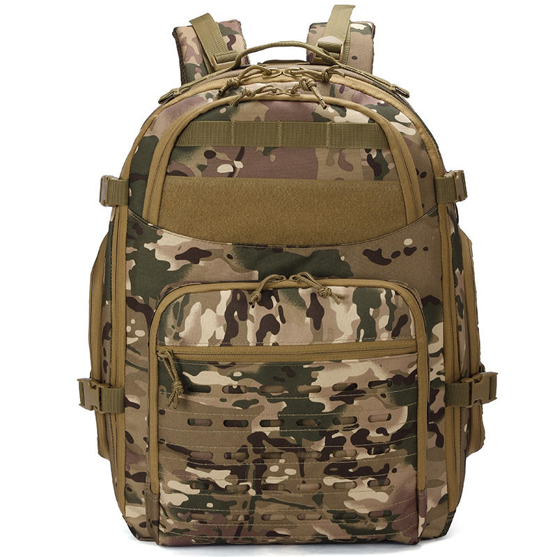 CP-ในสต็อก